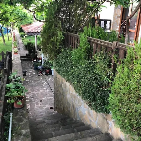 комплекс «топ» Appartement