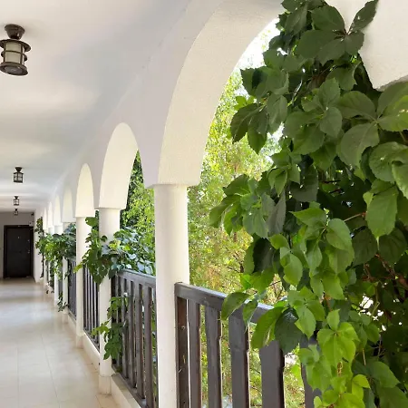 комплекс «топ» * スヴェティ・ヴラス